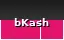 bKash mobile banking logo